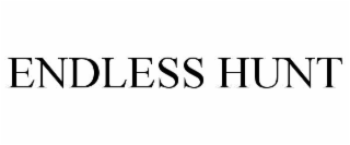 ENDLESS HUNT