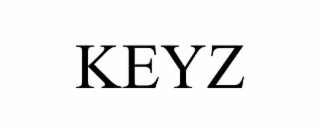 Image for trademark with serial number 99025634
