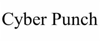 CYBER PUNCH