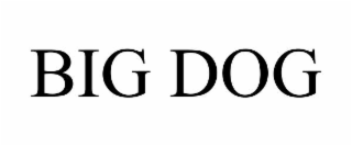 BIG DOG