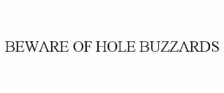 BEWARE OF HOLE BUZZARDS