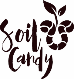 SOIL CANDY