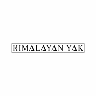 HIMALAYAN YAK