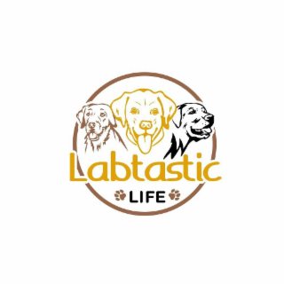 LABTASTIC LIFE