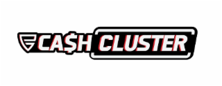 CASH CLUSTER