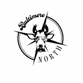 BALTIMORE NORTH