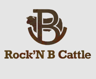 ROCK’N B CATTLE