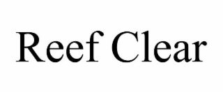 REEF CLEAR