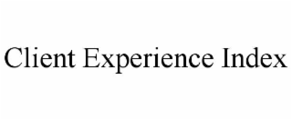 CLIENT EXPERIENCE INDEX