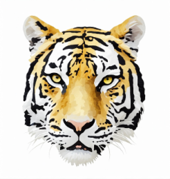 Image Trademark
