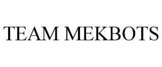 TEAM MEKBOTS