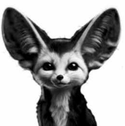 Image Trademark