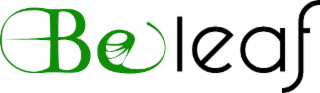 THE LITERAL ELEMENT OF THE MARK IN THE UPLOADED DRAWING CONSISTS OF THE WORD 
