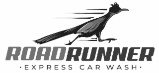 ROADRUNNER EXPRESS CAR WASH
