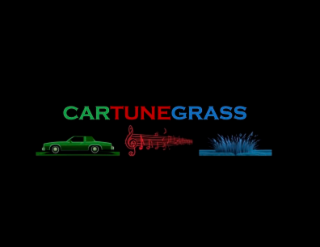 CAR TUNE GRASS
