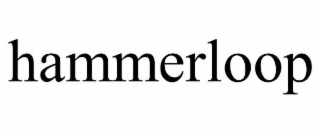 Image for trademark with serial number 99055732