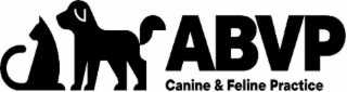 ABVP CANINE & FELINE PRACTICE
