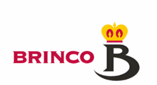 BRINCO B