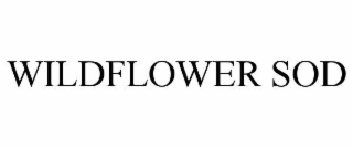 WILDFLOWER SOD