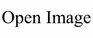 OPEN IMAGE