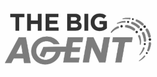 THE BIG AGENT