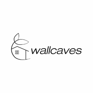 WALLCAVES