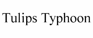 TULIPS TYPHOON