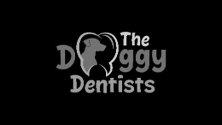 THE DOGGY DENTISTS
