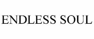 ENDLESS SOUL