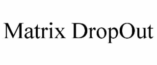 MATRIX DROPOUT