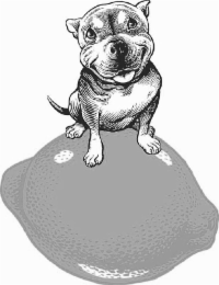 Image Trademark