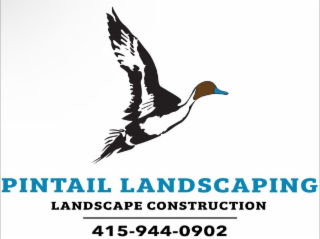 PINTAIL LANDSCAPING LANDSCAPE CONSTRUCTION 415-944-0902