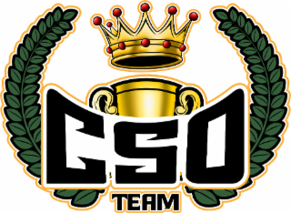CSO TEAM