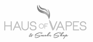 HAUS OF VAPES & SMOKE SHOP
