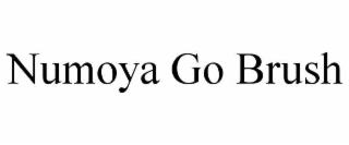 NUMOYA GO BRUSH