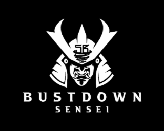 SB BUSTDOWN SENSEI