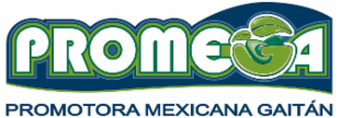 PROMEGA PROMOTORA MEXICANA GAITÃN