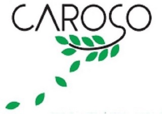 CAROÃO