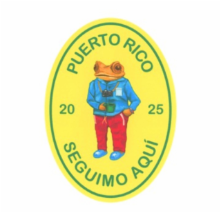 PUERTO RICO 20 25 SEGUIMO AQUÍ