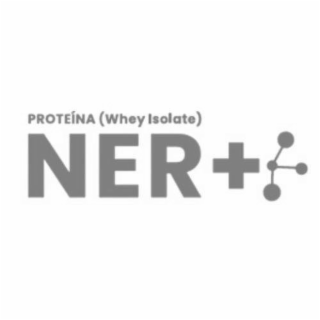 NER+,