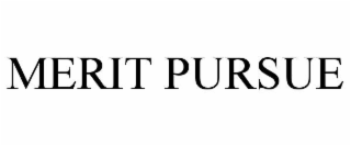 MERIT PURSUE