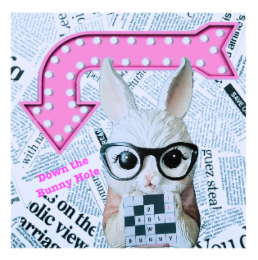 DOWN THE BUNNY HOLE