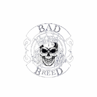 BAD BREED