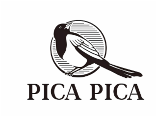 PICA PICA