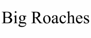 BIG ROACHES