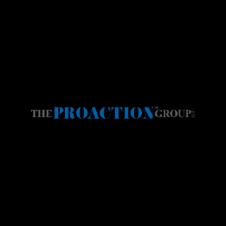 THE PROACTION GROUP LLC
