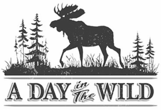A DAY IN THE WILD