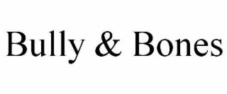 BULLY & BONES