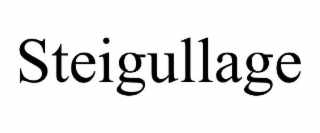 STEIGULLAGE