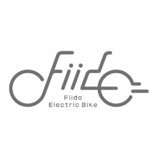 FIIDO ELECTRIC BIKE